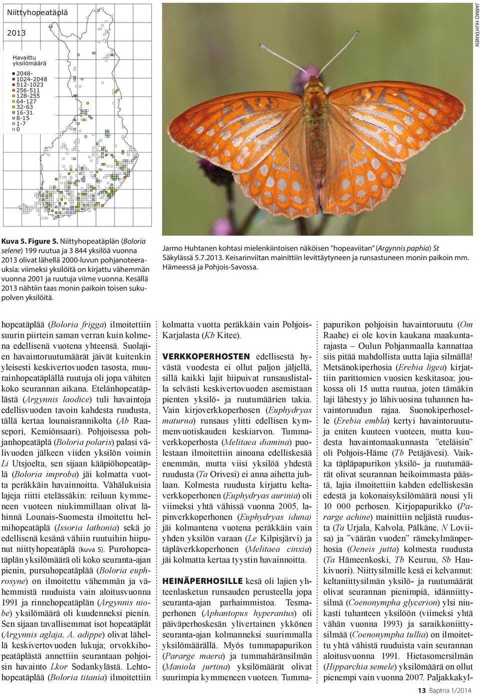 Suonokiperhoselle (Erebia embla) kertyi havaintoruutuja eniten kuuteen vuoteen, mutta kuudesta havaintomaakunnasta eteläisin oli Pohjois-Häme (Tb Petäjävesi).