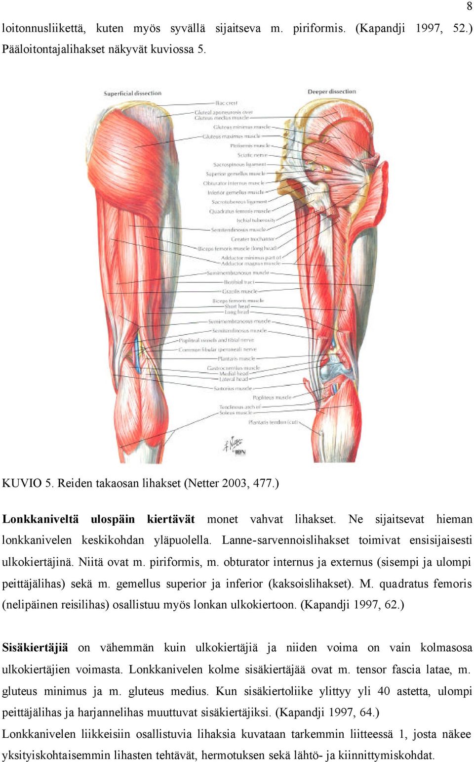 piriformis, m. obturator internus ja externus (sisempi ja ulompi peittäjälihas) sekä m. gemellus superior ja inferior (kaksoislihakset). M.