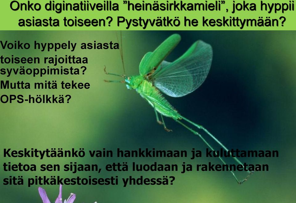 Pystyvätkö he keskittymään?