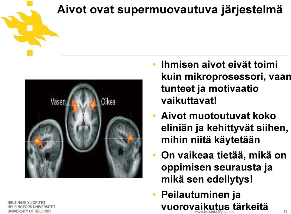 Aivot muotoutuvat koko eliniän ja kehittyvät siihen, mihin niitä käytetään On