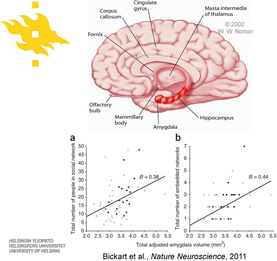 Bickart et al.