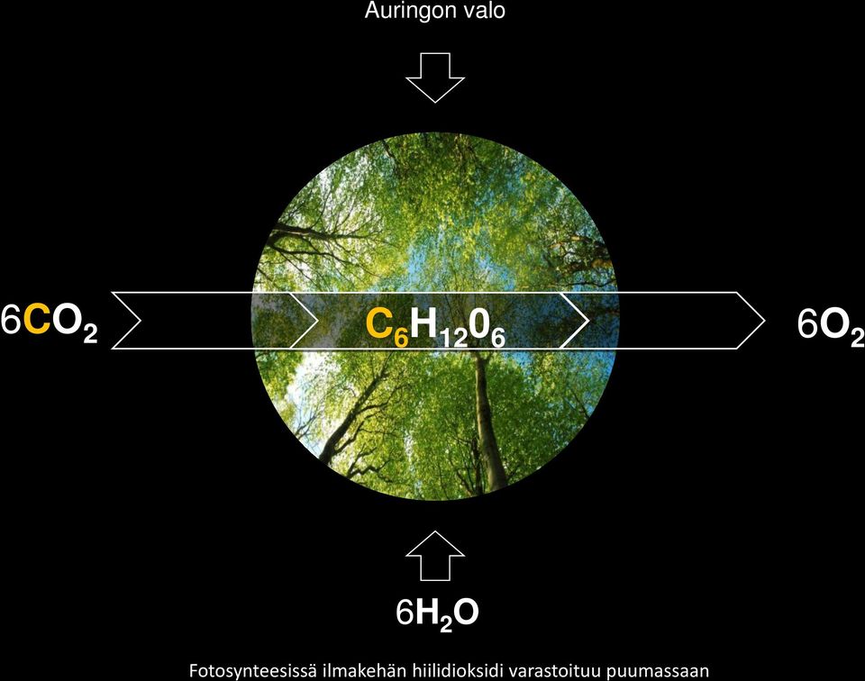 Fotosynteesissä ilmakehän
