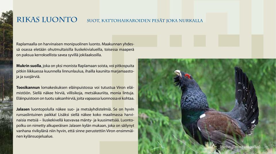 Mukrin suolla, joka on yksi monista Raplamaan soista, voi pitkospuita pitkin liikkuessa kuunnella linnunlaulua, ihailla kauniita marjamaastoja ja suojärviä.