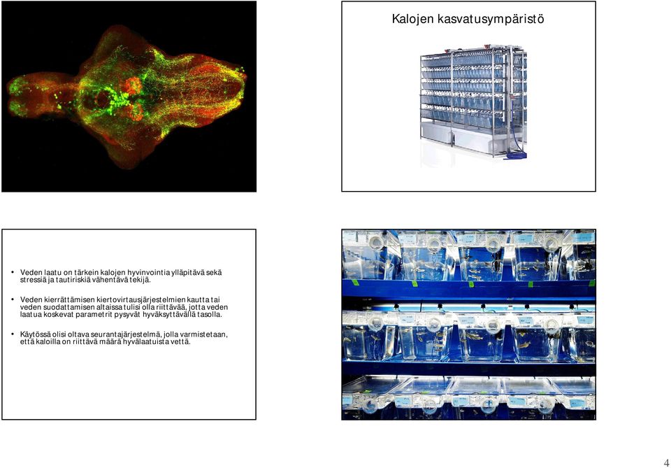 Veden kierrättämisen kiertovirtausjärjestelmien kautta tai veden suodattamisen altaissa tulisi olla