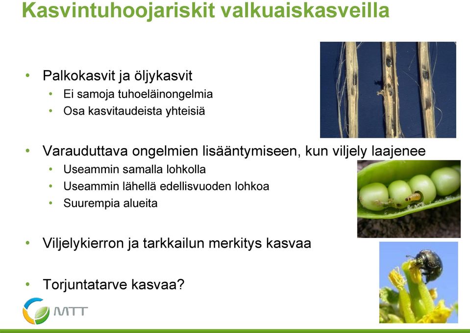 lisääntymiseen, kun viljely laajenee Useammin samalla lohkolla Useammin lähellä