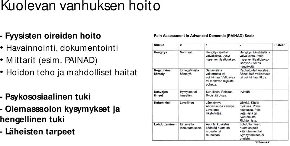 PAINAD) Hoidon teho ja mahdolliset haitat -