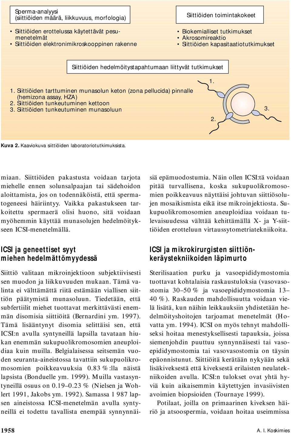 Siittiöiden tarttuminen munasolun keton (zona pellucida) pinnalle (hemizona assay, HZA) 2. Siittiöiden tunkeutuminen kettoon 3. Siittiöiden tunkeutuminen munasoluun 1. 2. 3. Kuva 2.