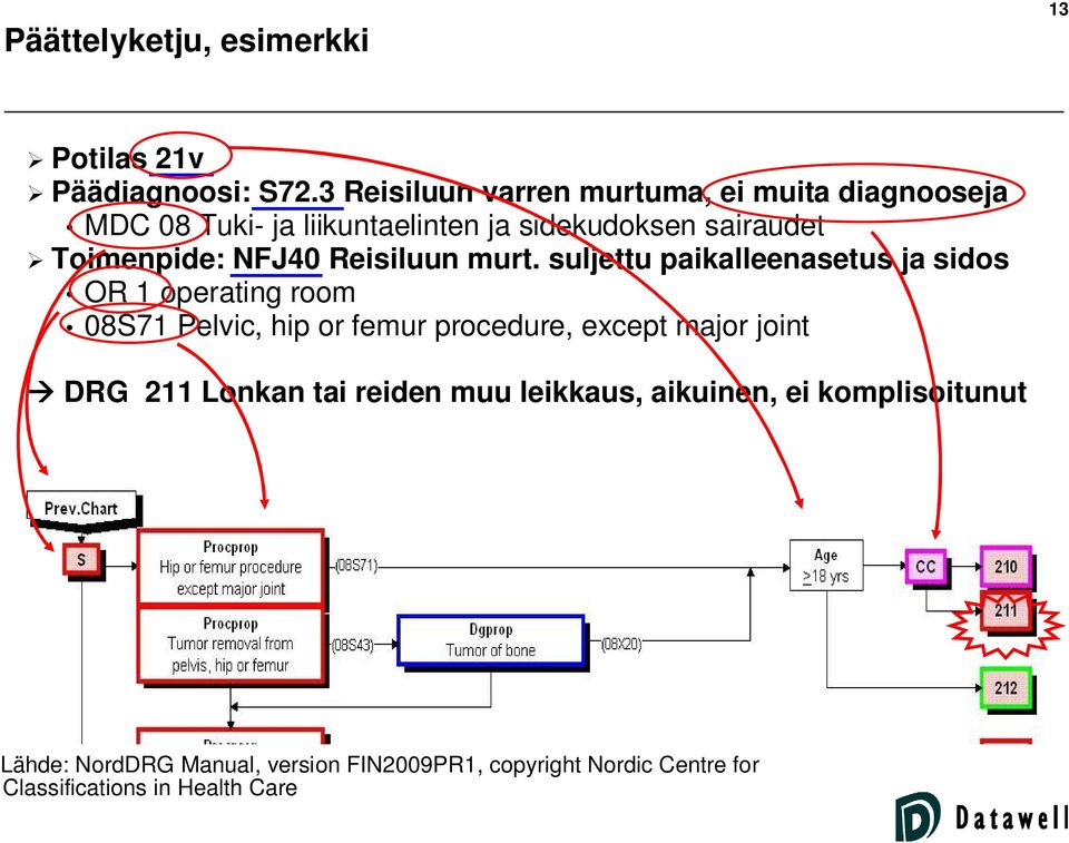 NFJ40 Reisiluun murt.