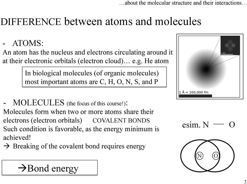 He atom In biological molecules (of organic molecules) most important atoms are C, H, O, N, S, and P about the molecular structure and their