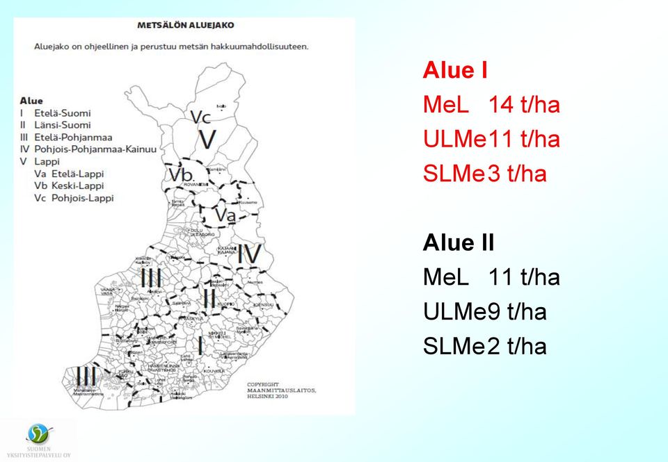 t/ha Alue II MeL 11