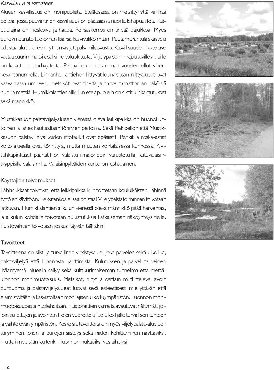Puutarhakarkulaiskasveja edustaa alueelle levinnyt runsas jättipalsamikasvusto. Kasvillisuuden hoitotaso vastaa suurimmaksi osaksi hoitoluokitusta.