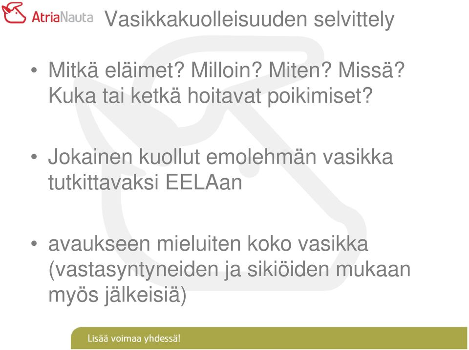 Jokainen kuollut emolehmän vasikka tutkittavaksi EELAan