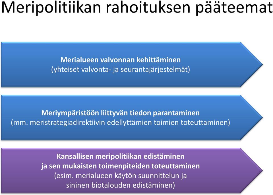 meristrategiadirektiivin edellyttämien toimien toteuttaminen) Kansallisen meripolitiikan