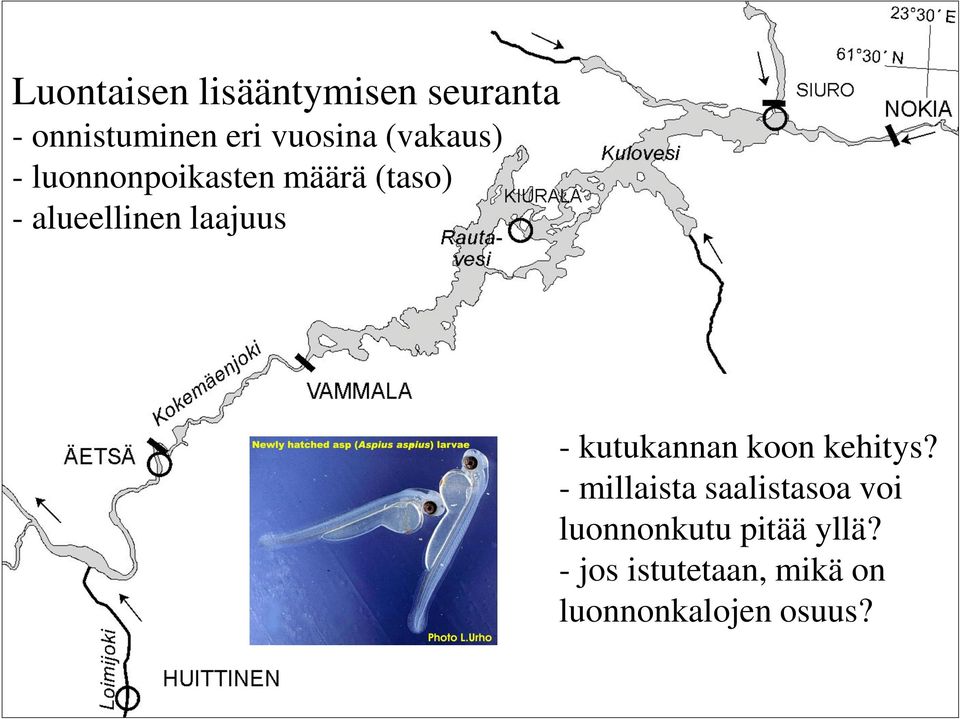 - kutukannan koon kehitys?