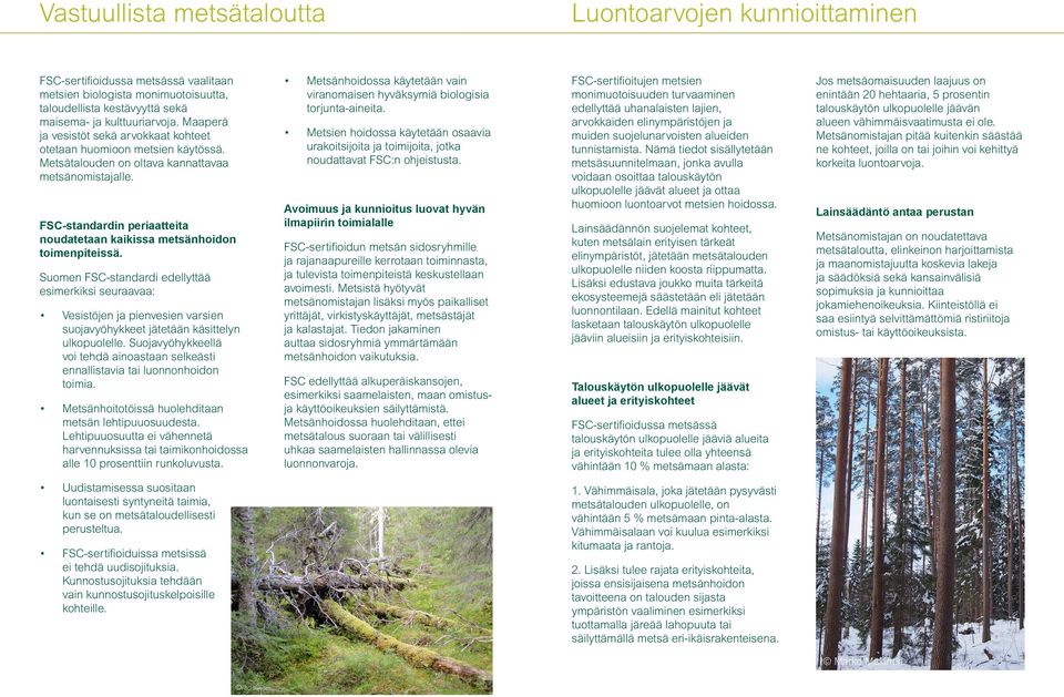 FSC-standardin periaatteita noudatetaan kaikissa metsänhoidon toimenpiteissä.