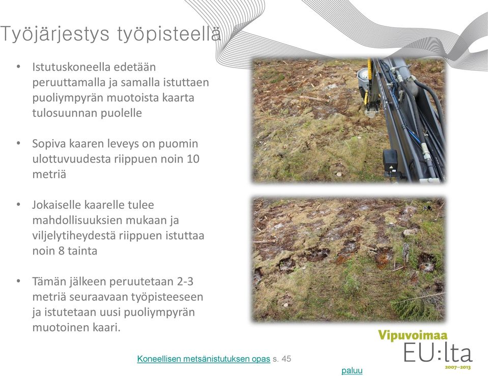 tulee mahdollisuuksien mukaan ja viljelytiheydestä riippuen istuttaa noin 8 tainta Tämän jälkeen peruutetaan 2-3