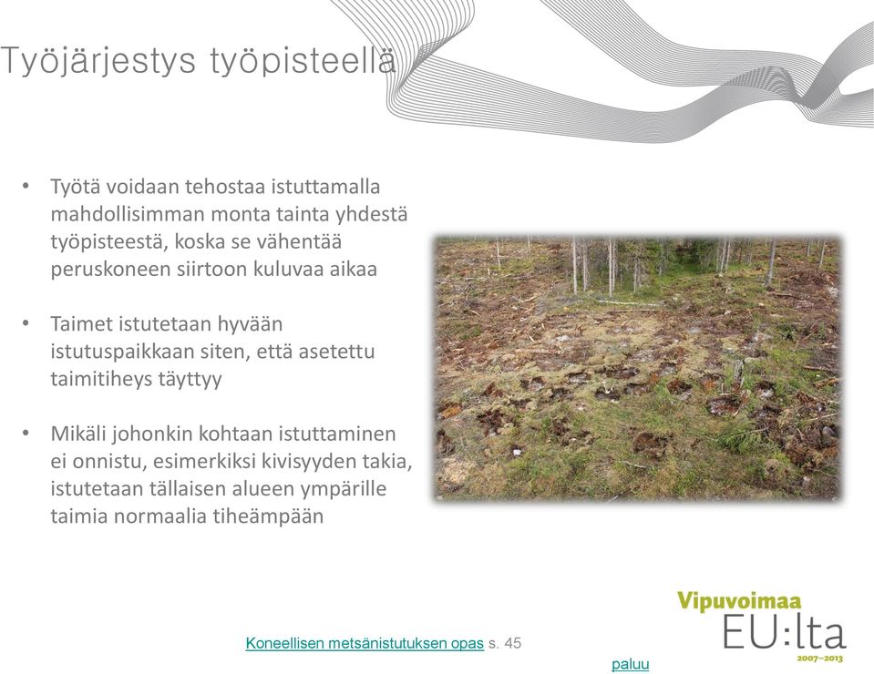 siten, että asetettu taimitiheys täyttyy Mikäli johonkin kohtaan istuttaminen ei onnistu, esimerkiksi