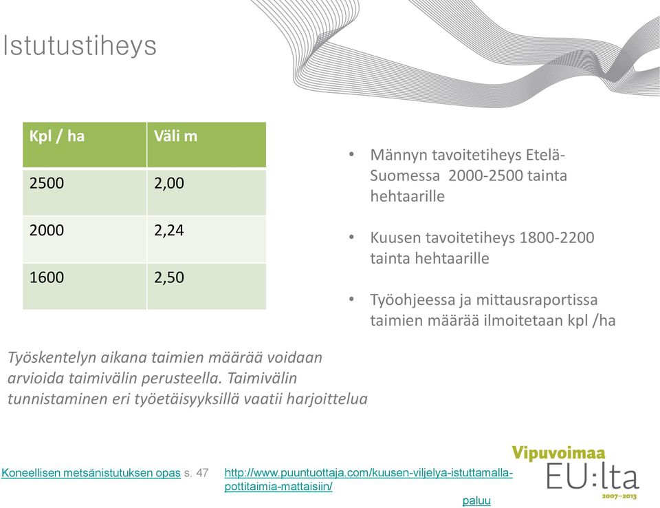 Työskentelyn aikana taimien määrää voidaan arvioida taimivälin perusteella.