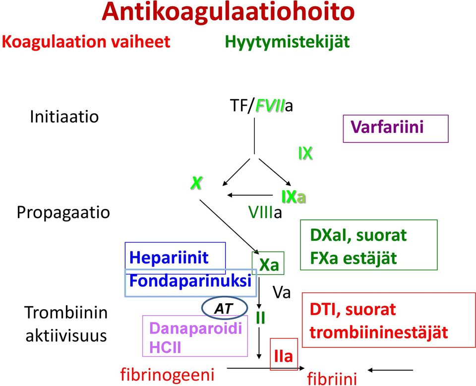 Danaparoidi HCII fibrinogeeni TF/FVIIa IX IXa VIIIa Xa Va II IIa