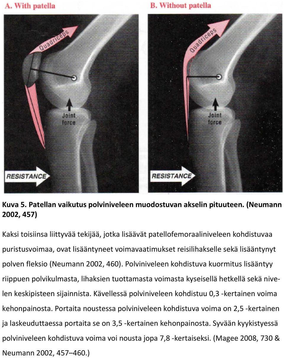 fleksio (Neumann 2002, 460). Polviniveleen kohdistuva kuormitus lisääntyy riippuen polvikulmasta, lihaksien tuottamasta voimasta kyseisellä hetkellä sekä nivelen keskipisteen sijainnista.