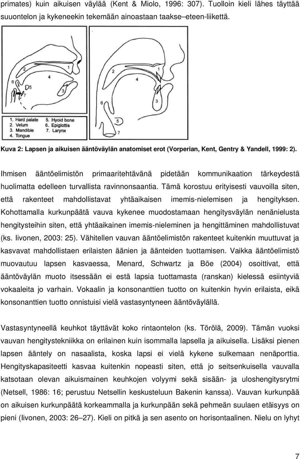 Ihmisen ääntöelimistön primaaritehtävänä pidetään kommunikaation tärkeydestä huolimatta edelleen turvallista ravinnonsaantia.