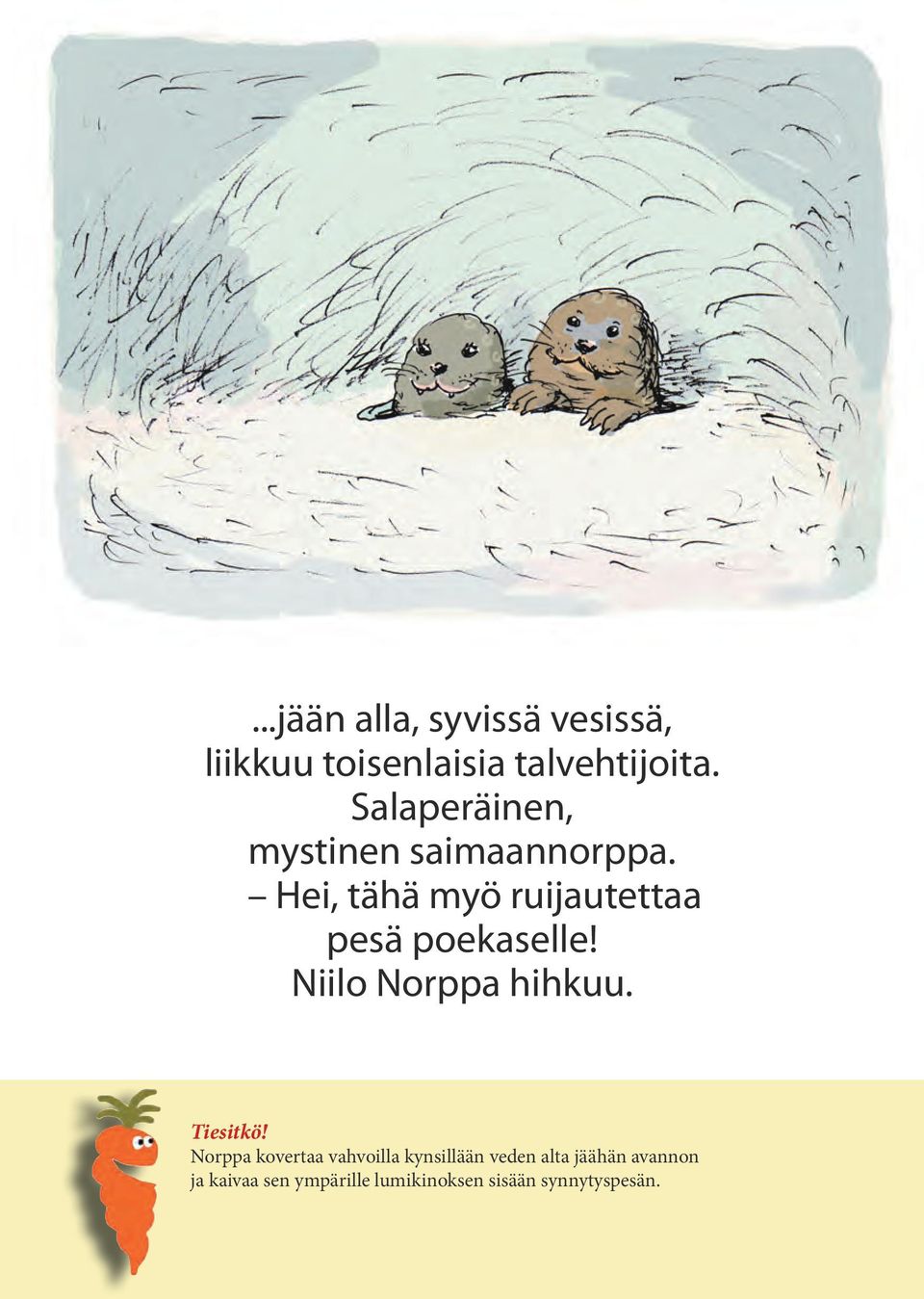 Hei, tähä myö ruijautettaa pesä poekaselle! Niilo Norppa hihkuu.