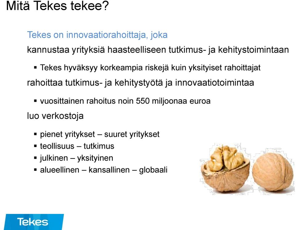 Tekes hyväksyy korkeampia riskejä kuin yksityiset rahoittajat rahoittaa tutkimus- ja kehitystyötä ja