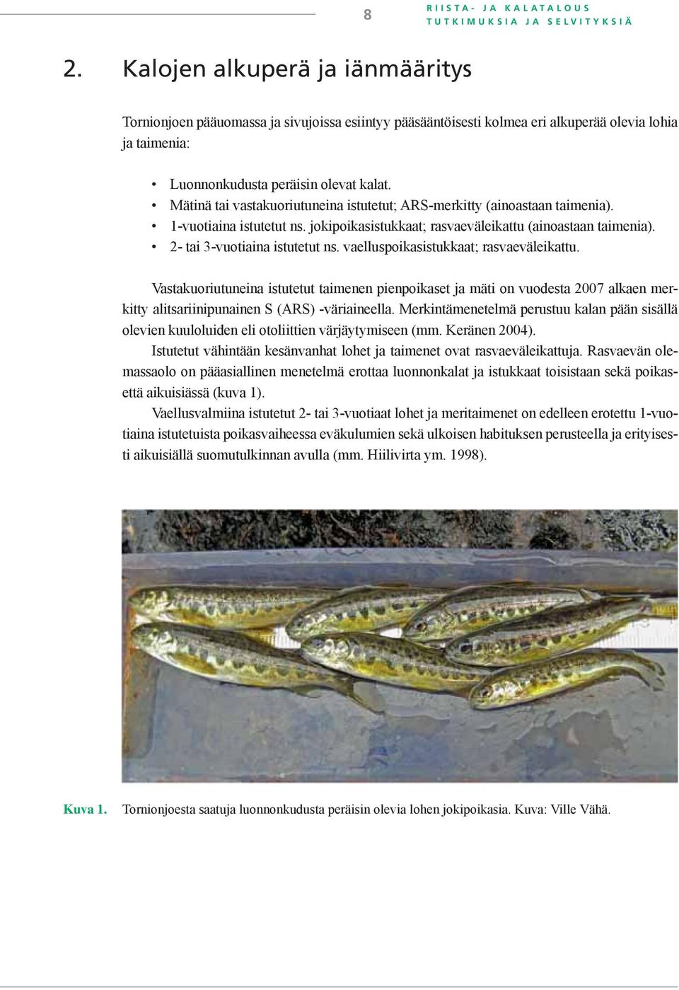 Mätinä tai vastakuoriutuneina istutetut; ARS-merkitty (ainoastaan taimenia). 1-vuotiaina istutetut ns. jokipoikasistukkaat; rasvaeväleikattu (ainoastaan taimenia). 2- tai 3-vuotiaina istutetut ns.