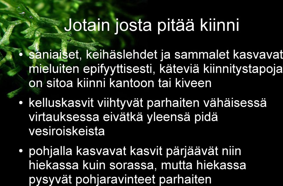 viihtyvät parhaiten vähäisessä virtauksessa eivätkä yleensä pidä vesiroiskeista pohjalla