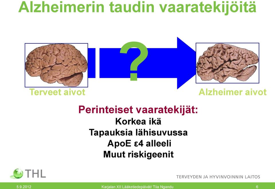 lähisuvussa ApoE ε4 alleeli Muut riskigeenit