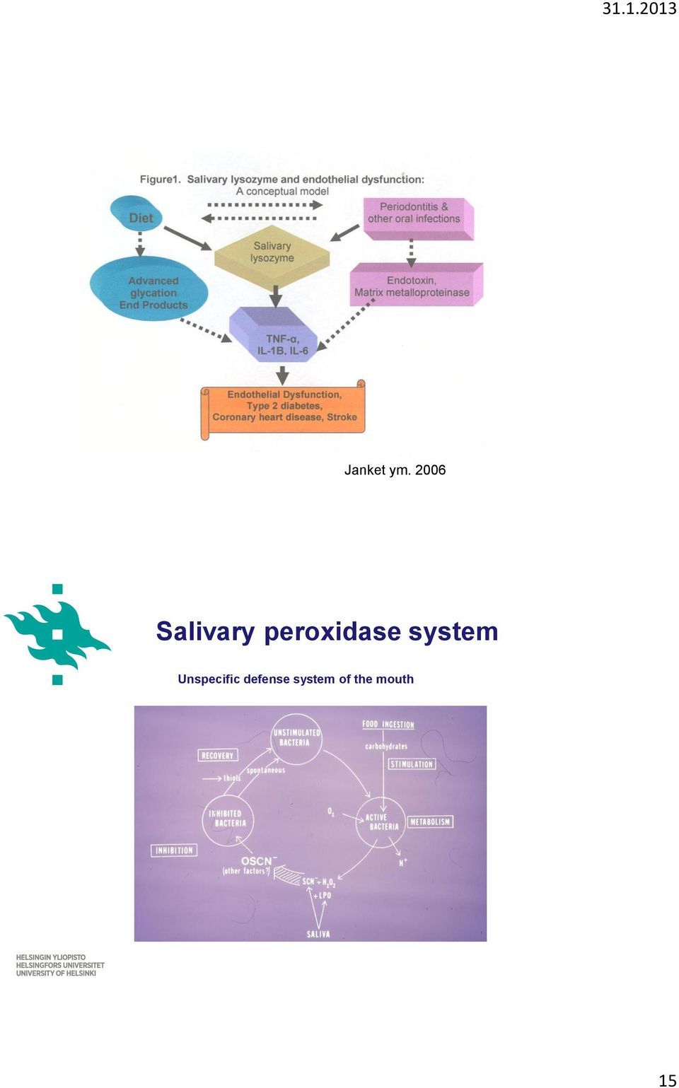 peroxidase system