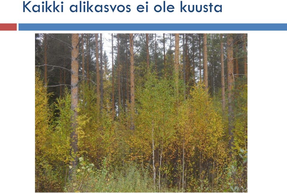 ei ole