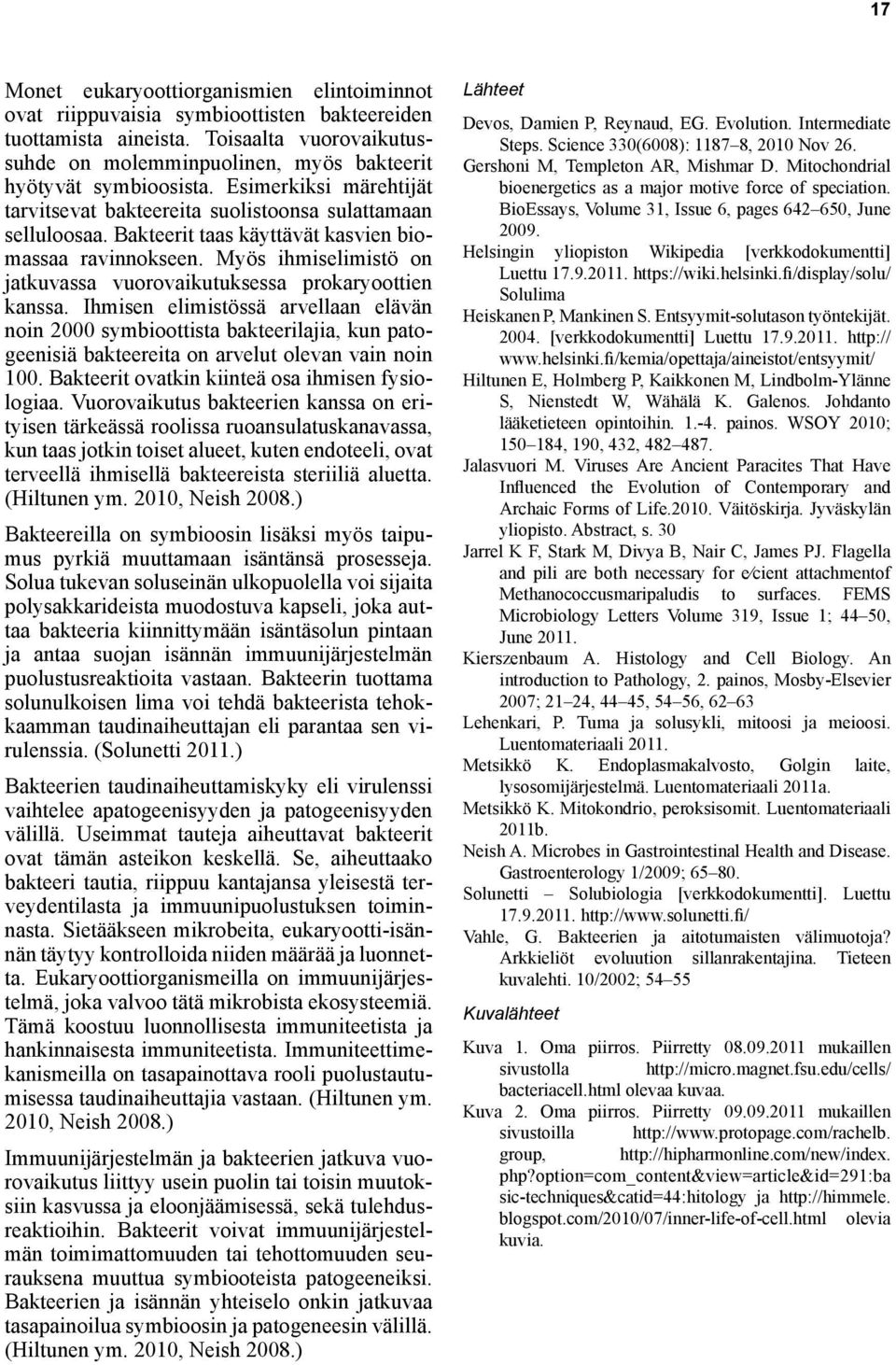 Bakteerit taas käyttävät kasvien biomassaa ravinnokseen. Myös ihmiselimistö on jatkuvassa vuorovaikutuksessa prokaryoottien kanssa.