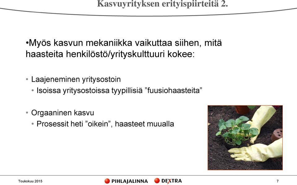 henkilöstö/yrityskulttuuri kokee: Laajeneminen yritysostoin