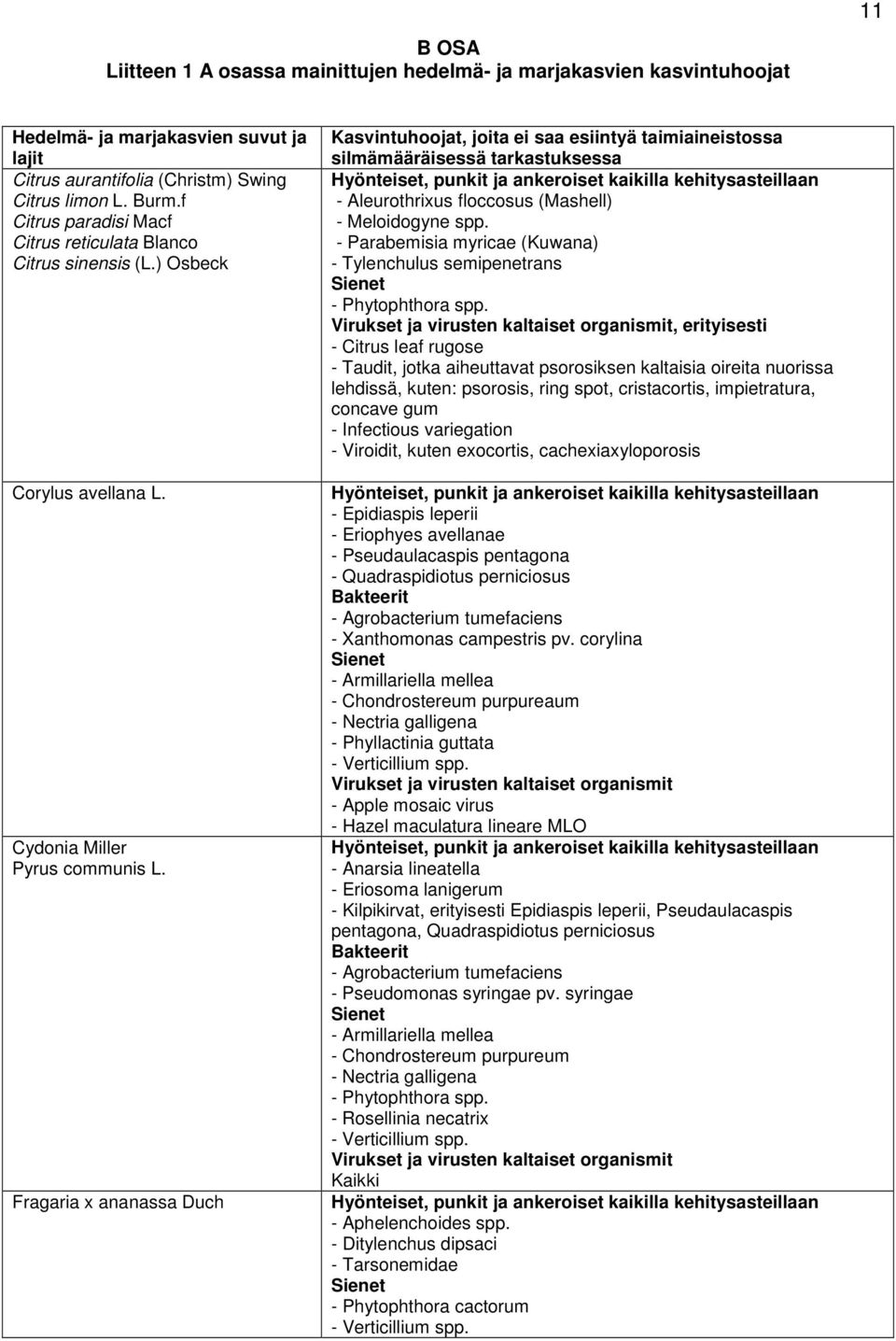 Fragaria x ananassa Duch Kasvintuhoojat, joita ei saa esiintyä taimiaineistossa silmämääräisessä tarkastuksessa - Aleurothrixus floccosus (Mashell) - Meloidogyne spp.