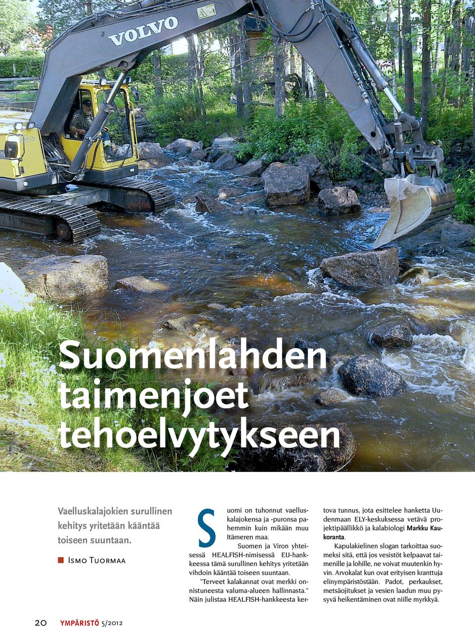Suomen ja Viron yhteisessä HEALFISH-nimisessä EU-hankkeessa tämä surullinen kehitys yritetään vihdoin kääntää toiseen suuntaan. Terveet kalakannat ovat merkki onnistuneesta valuma-alueen hallinnasta.