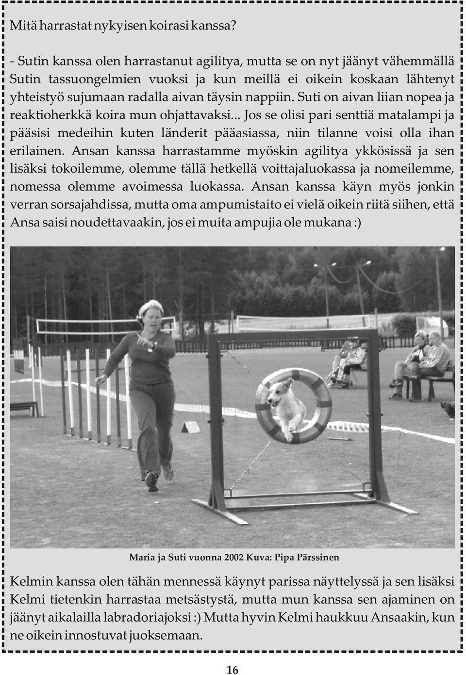 Suti on aivan liian nopea ja reaktioherkkä koira mun ohjattavaksi... Jos se olisi pari senttiä matalampi ja pääsisi medeihin kuten länderit pääasiassa, niin tilanne voisi olla ihan erilainen.