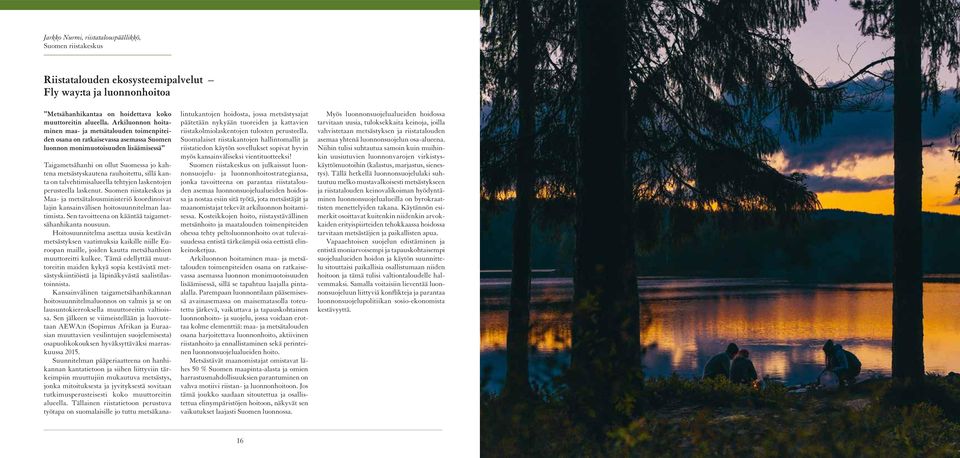 rauhoitettu, sillä kanta on talvehtimisalueella tehtyjen laskentojen perusteella laskenut.