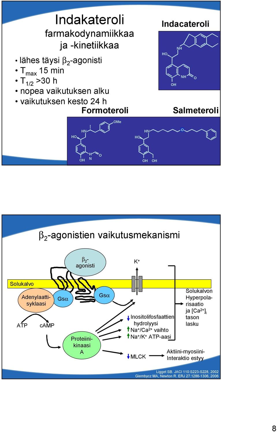 camp Gsα Adenylaattisyklaasi Proteiinikinaasi A Gsα Inositolifosfaattien hydrolyysi Na + /Ca 2+ vaihto Na + /K + ATP aasi MLCK Solukalvon