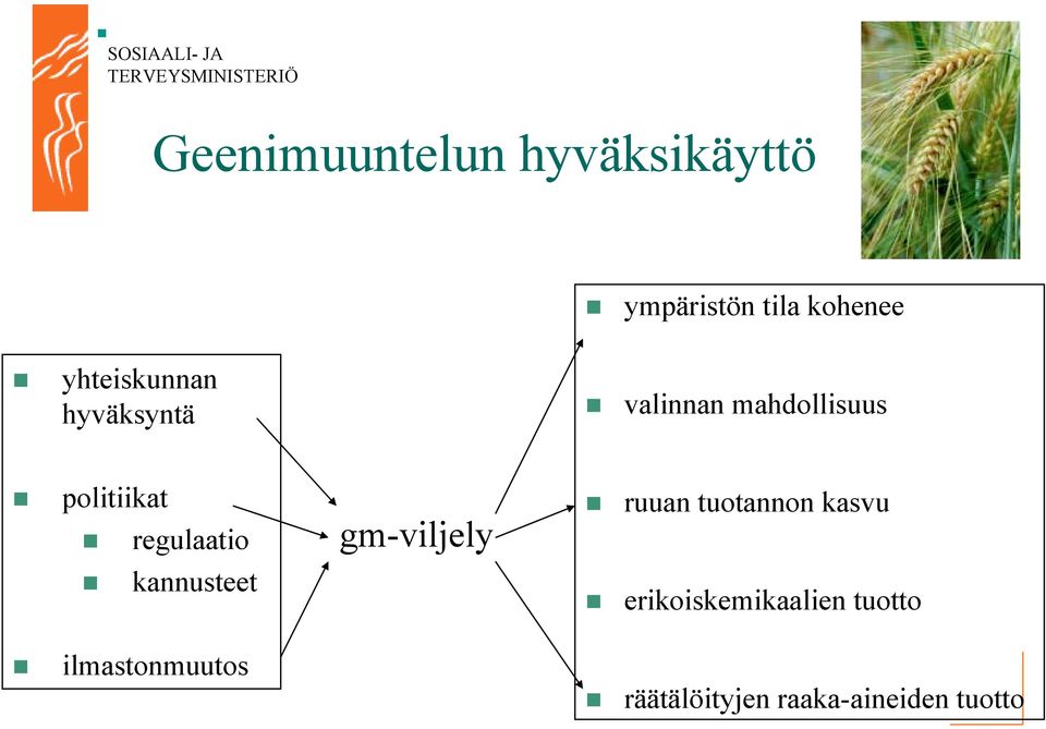 regulaatio! kannusteet! ilmastonmuutos gm-viljely!