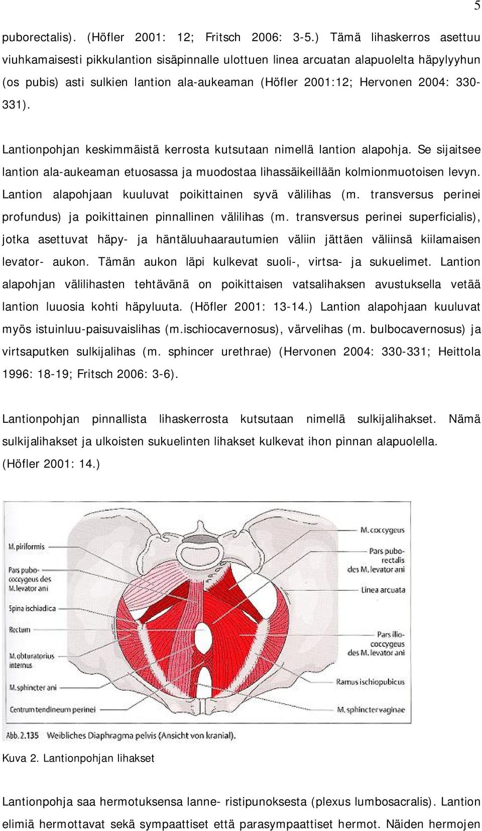 330-331). Lantionpohjan keskimmäistä kerrosta kutsutaan nimellä lantion alapohja. Se sijaitsee lantion ala-aukeaman etuosassa ja muodostaa lihassäikeillään kolmionmuotoisen levyn.