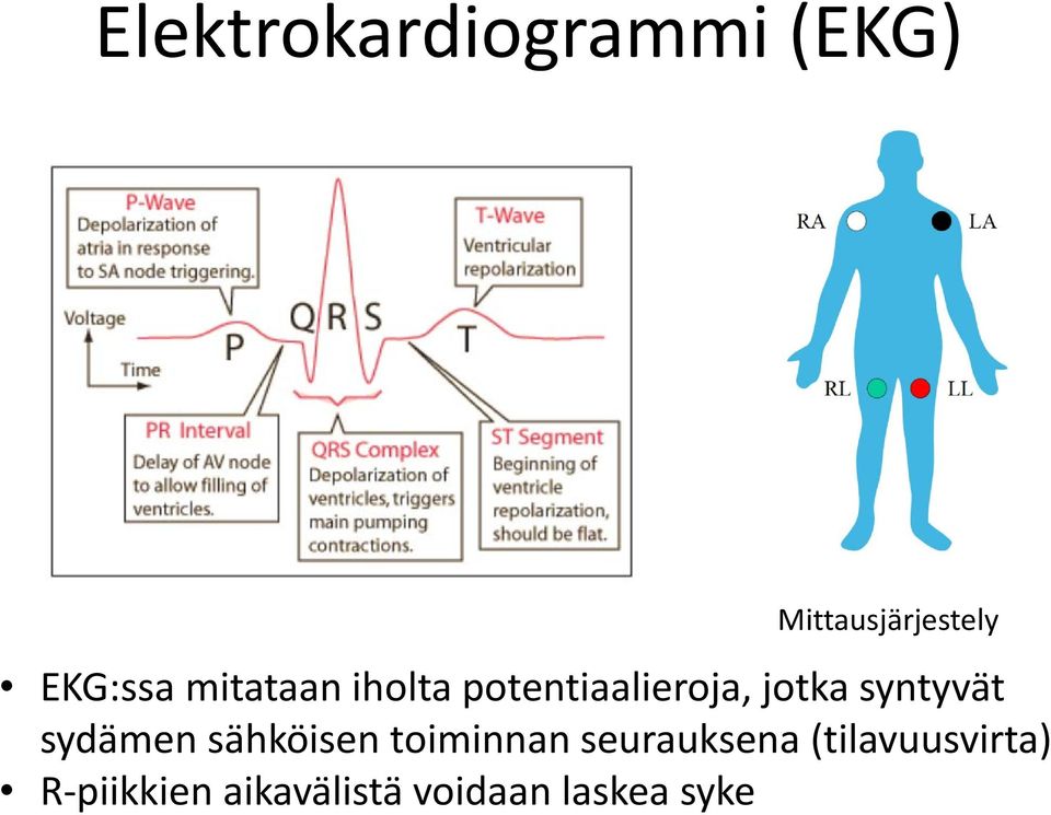 syntyvät sydämen sähköisen toiminnan seurauksena