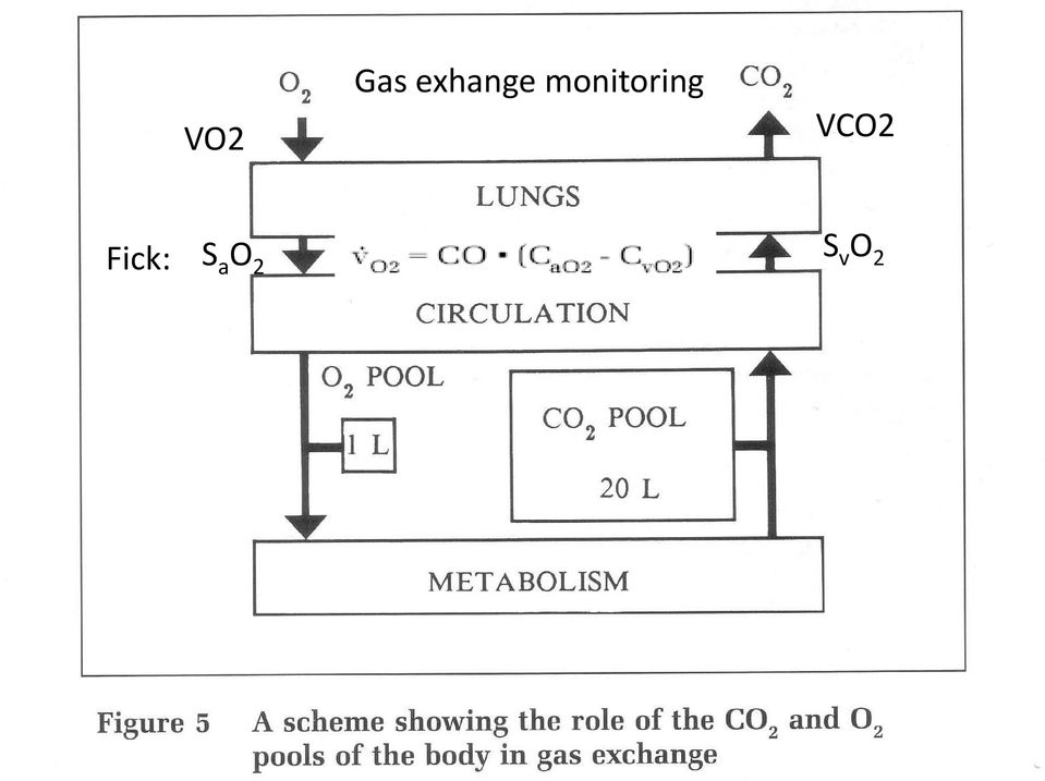 monitoring