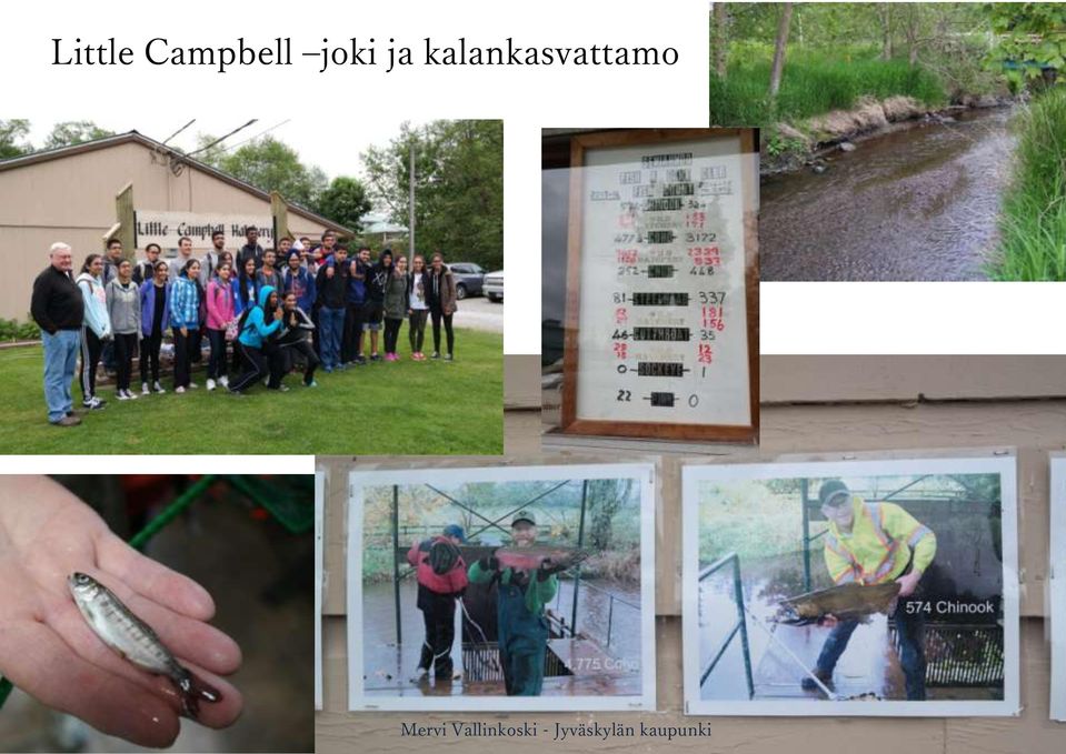 joki ja