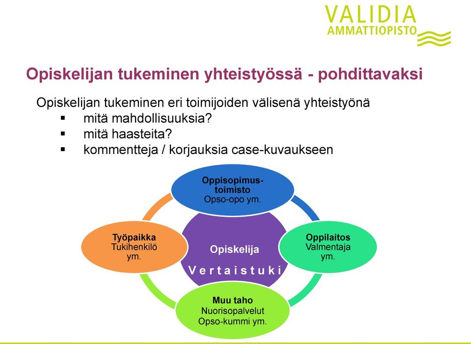 kommentteja / korjauksia case-kuvaukseen Oppisopimustoimisto Opso-opo ym.