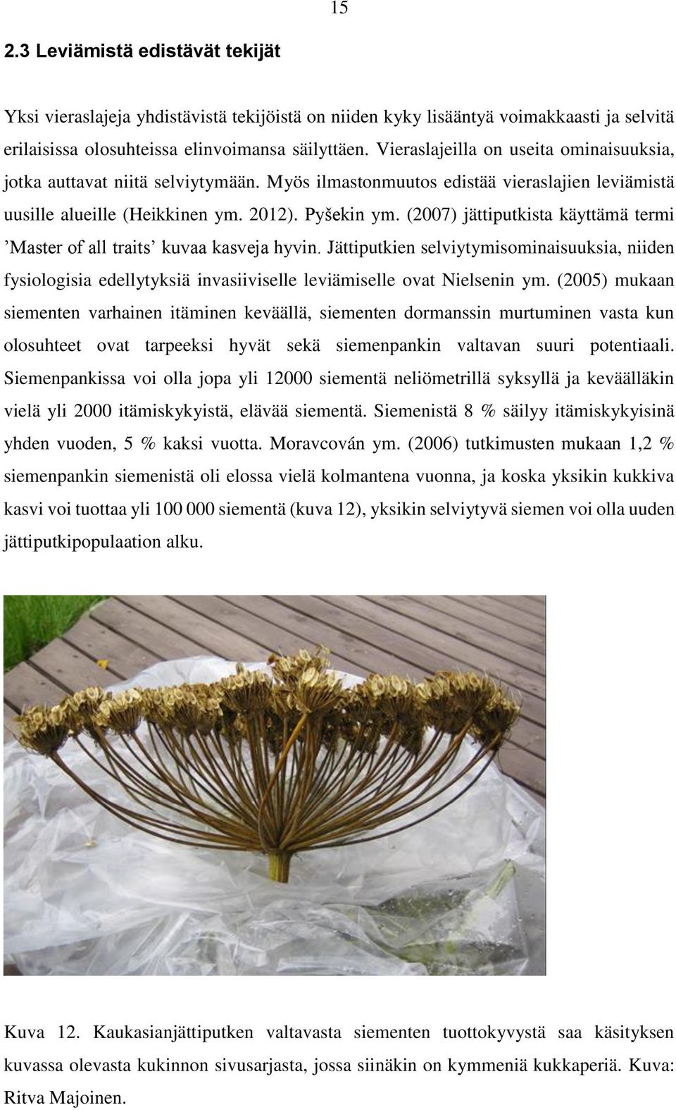 (2007) jättiputkista käyttämä termi Master of all traits kuvaa kasveja hyvin. Jättiputkien selviytymisominaisuuksia, niiden fysiologisia edellytyksiä invasiiviselle leviämiselle ovat Nielsenin ym.