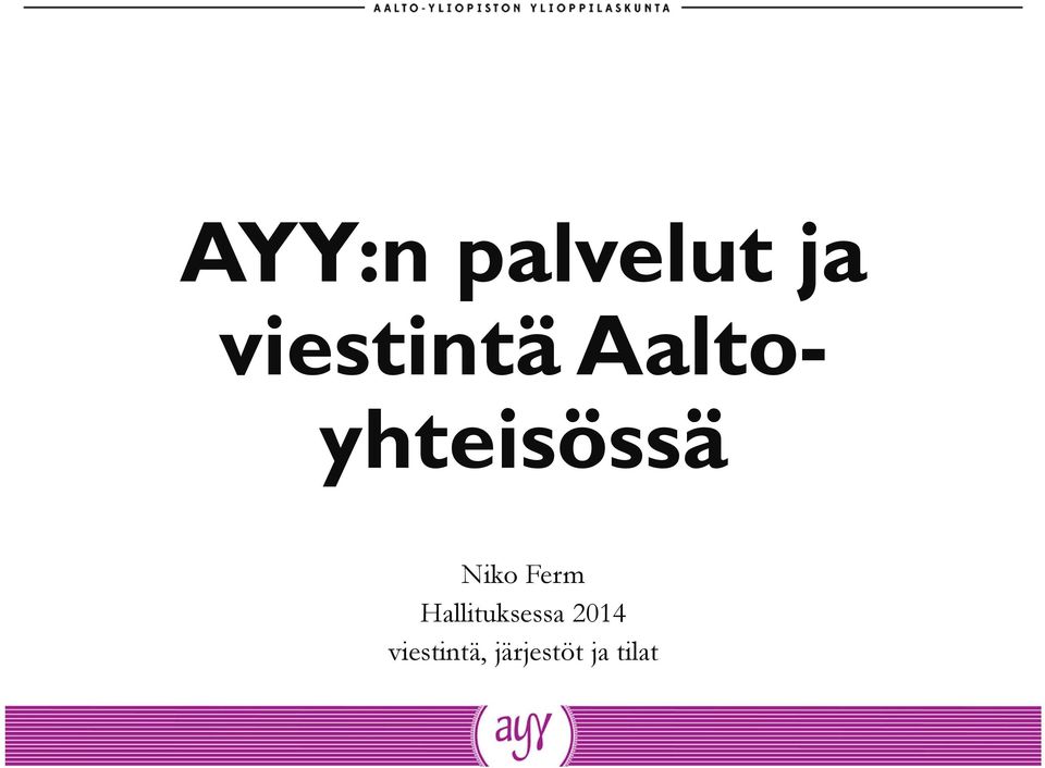 Niko Ferm Hallituksessa