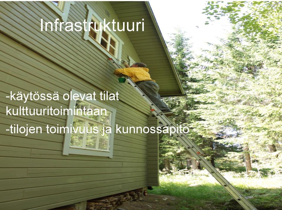 kulttuuritoimintaan