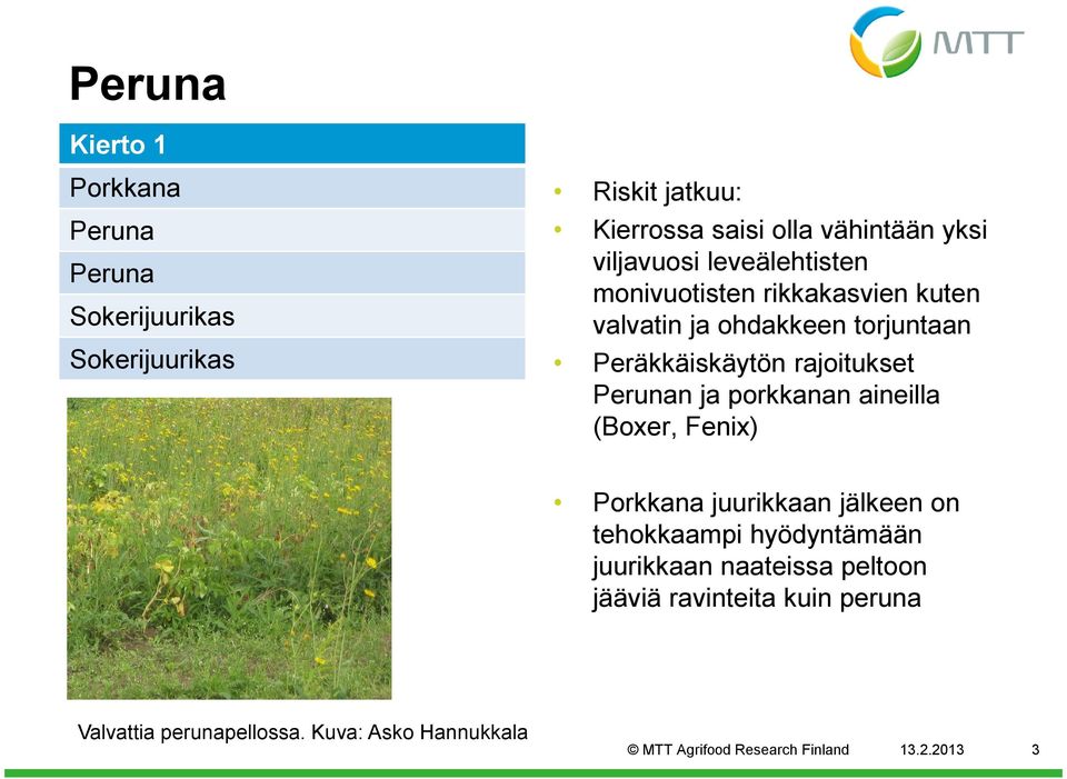 (Boxer, Fenix) juurikkaan jälkeen on tehokkaampi hyödyntämään juurikkaan naateissa peltoon jääviä