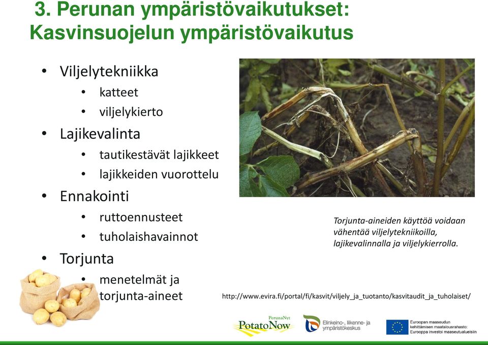 torjunta-aineet Torjunta-aineiden käyttöä voidaan vähentää viljelytekniikoilla, lajikevalinnalla ja